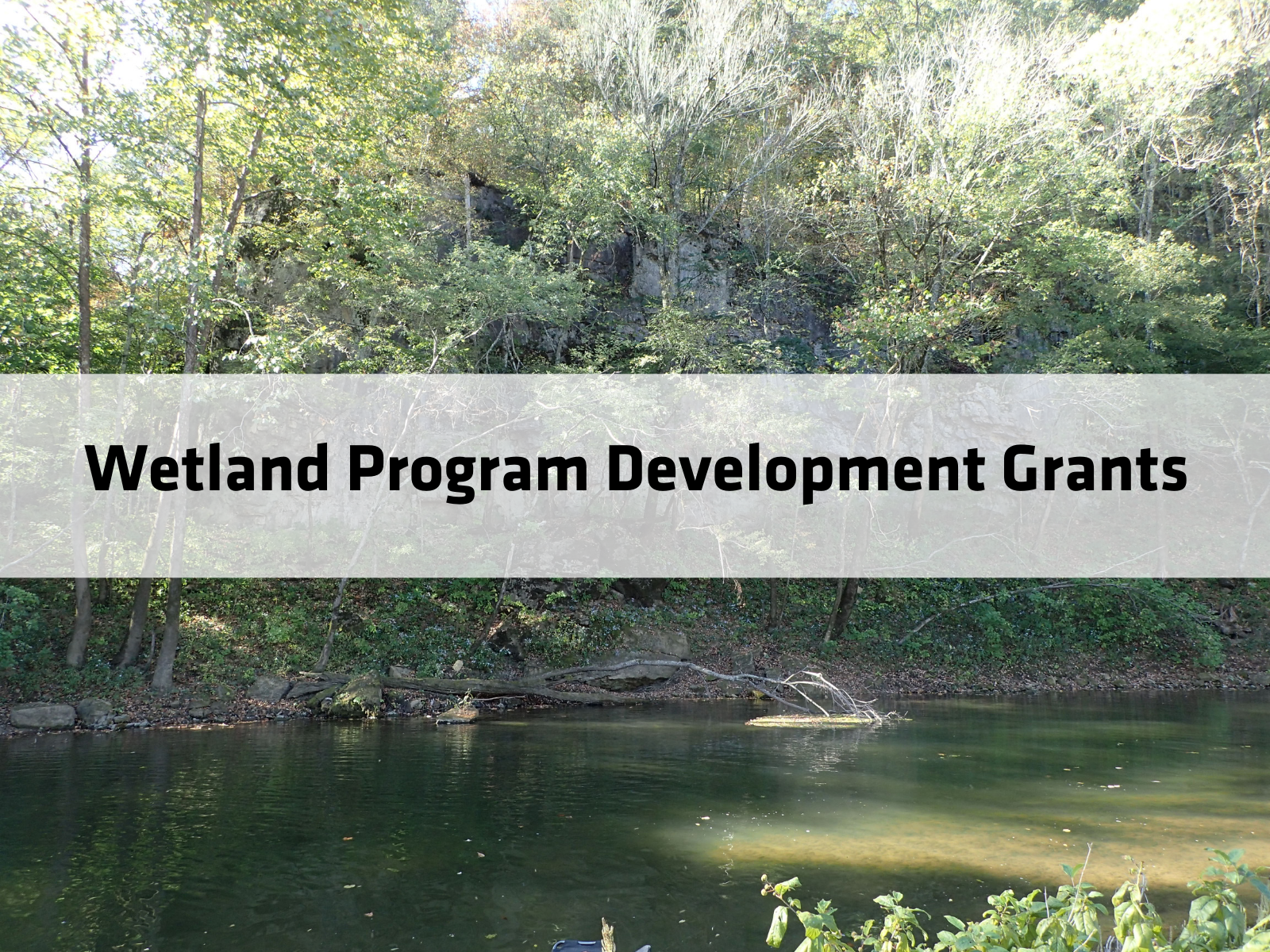 Wetland Program Development Grants