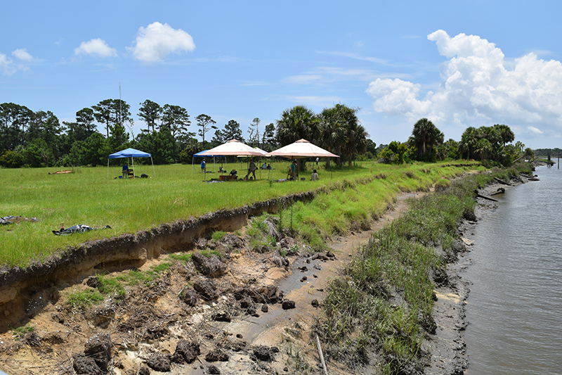 Hurricane Michael-caused erosion at the South End archaeological site on Ossabaw Island, Georgia.