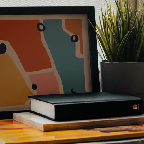 books with plant and framed artwork