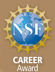 NSF Logo