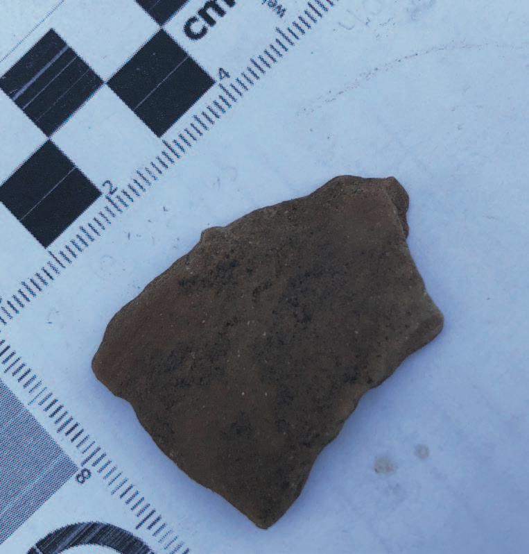 Photo: This Caddo sherd shows faint impressions of semi-circle decoration, made by pressing fingernails into wet clay. This was the only piece of decorated pottery recovered in the initial survey. 