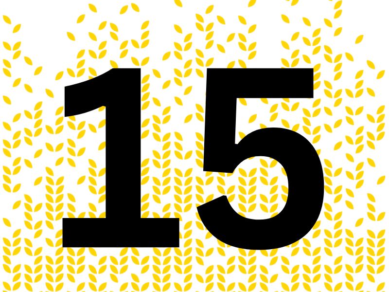 Number 15 on yellow background