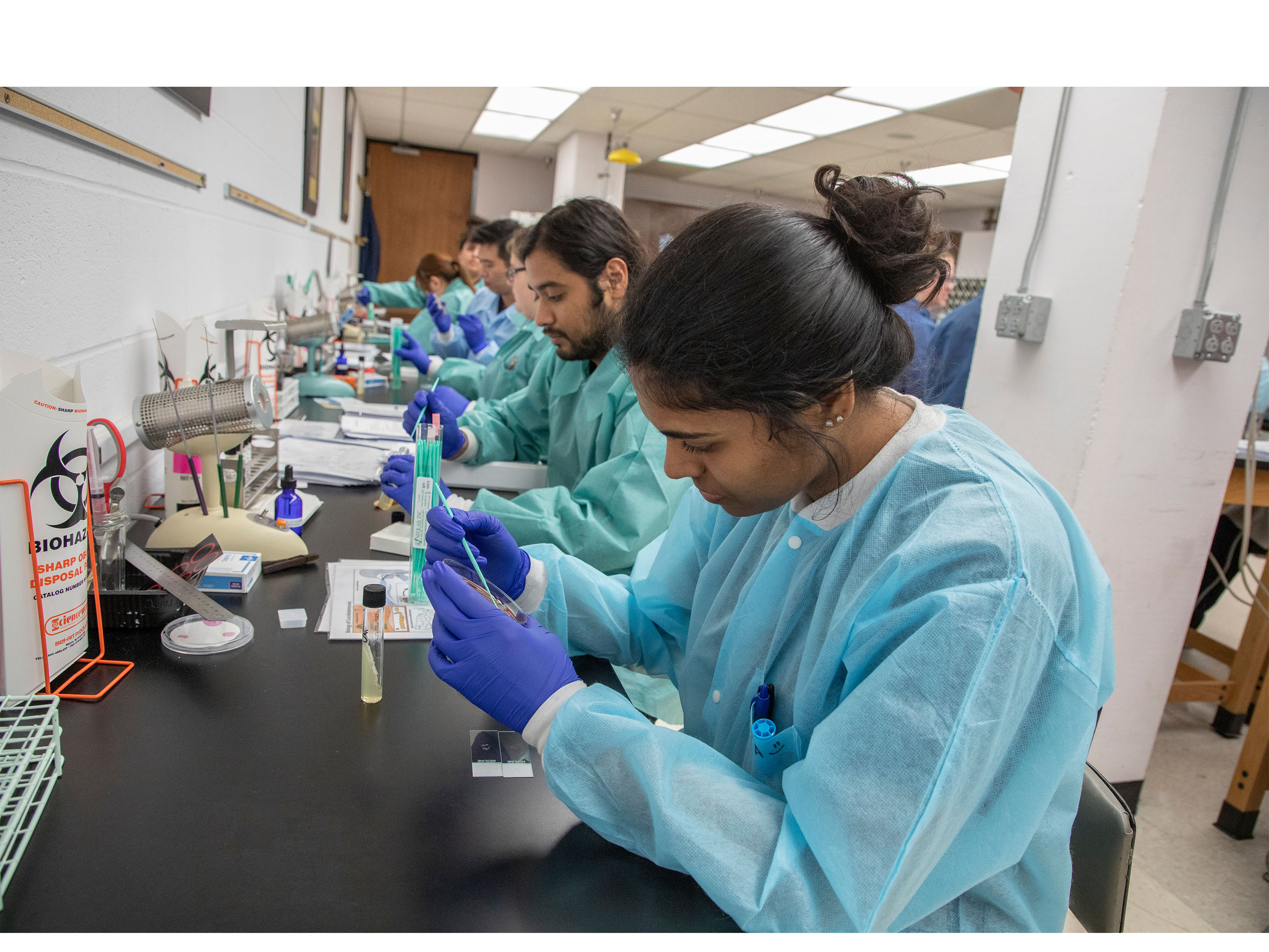 MLS students work in lab