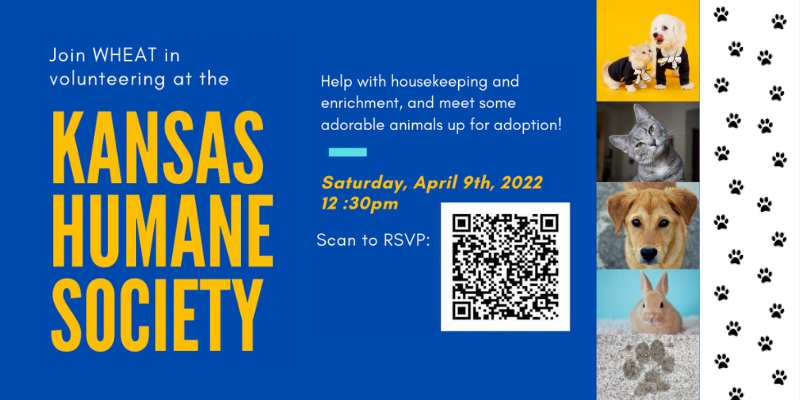 A rectangular graphic advertises a volunteer opportunity with the Wichita Honors Events and Activities Team. White text on a dark blue background reads: "Join WHEAT in volunteering at the:" followed by golden yellow text that reads: "Kansas Humane Society." Additional white text to the right reads: "Help with housekeeping and enrichment, and meet some adorable animals up for adoption!" Below that a light blue box and then golden yellow text that reads: "Saturday, April 9th, 2022, 12:30pm." A black and white QR code is placed at the bottom right of the screen with white text that reads: "Scan to RSVP." On the farthest right-hand side of the graphic, five pictures are placed in a straight vertical line featuring a white dog and yellow cat wearing black shirts followed by a gray cat with its head tilted to the side, then a golden-haired dog looking into the camera, a tan-colored rabbit, and a picture of a wet pawprint in the sand. Black pawprints on white background are featured on the edge of the graphic.