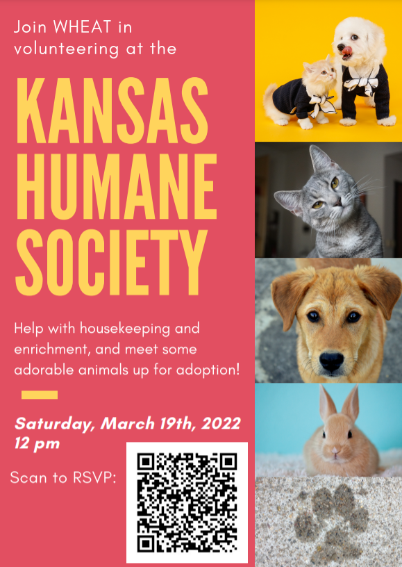A flyer advertising a volunteering event. The left side of the flyer is a hot pink color with yellow and white text that reads: "Join WHEAT in volunteering at the Kansas Humane Society. Help with housekeeping and enrichment, and meet some adorable animals up for adoption! Saturday, March 19th, 2022, 12pm. Scan to RSVP." A QR code is placed at the bottom-middle of the page. On the right side of the flyer are five pictures of various animals: (1) a small white dog and a yellow-blonde cat in black shirts with white satin neck ties, (2) a gray cat with it's head tilted to the side, (3) a golden-brown dog looking at the camera with big, open eyes, (4) a light brown rabbit on a white carpet with a blue wall behind it, and (5) a photo of a paw print in gray-white sand.