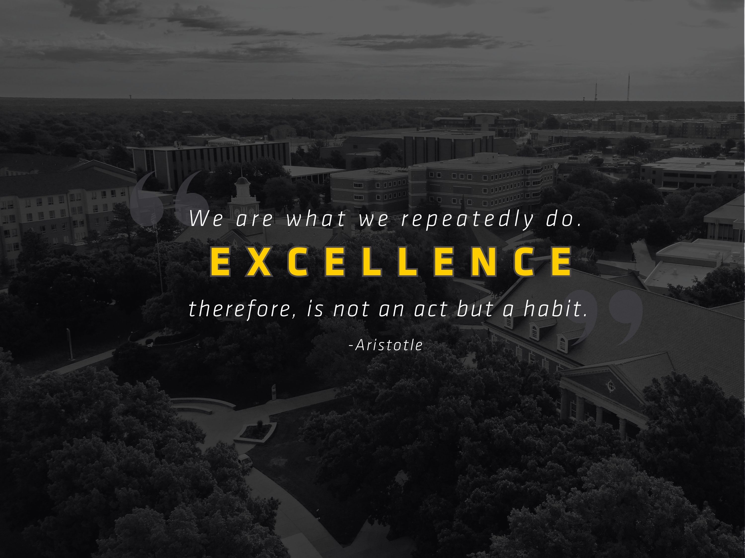 We are what we repeatedly do. Excellence therefore, is not an act but a habit. Aristotle