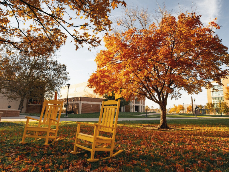rocking chairs in the fall on campus