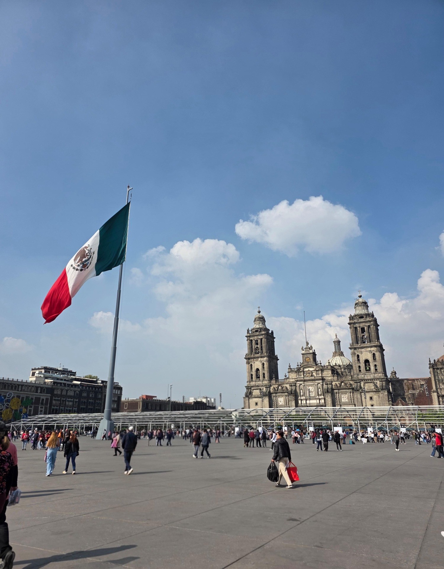 Mexico City flag