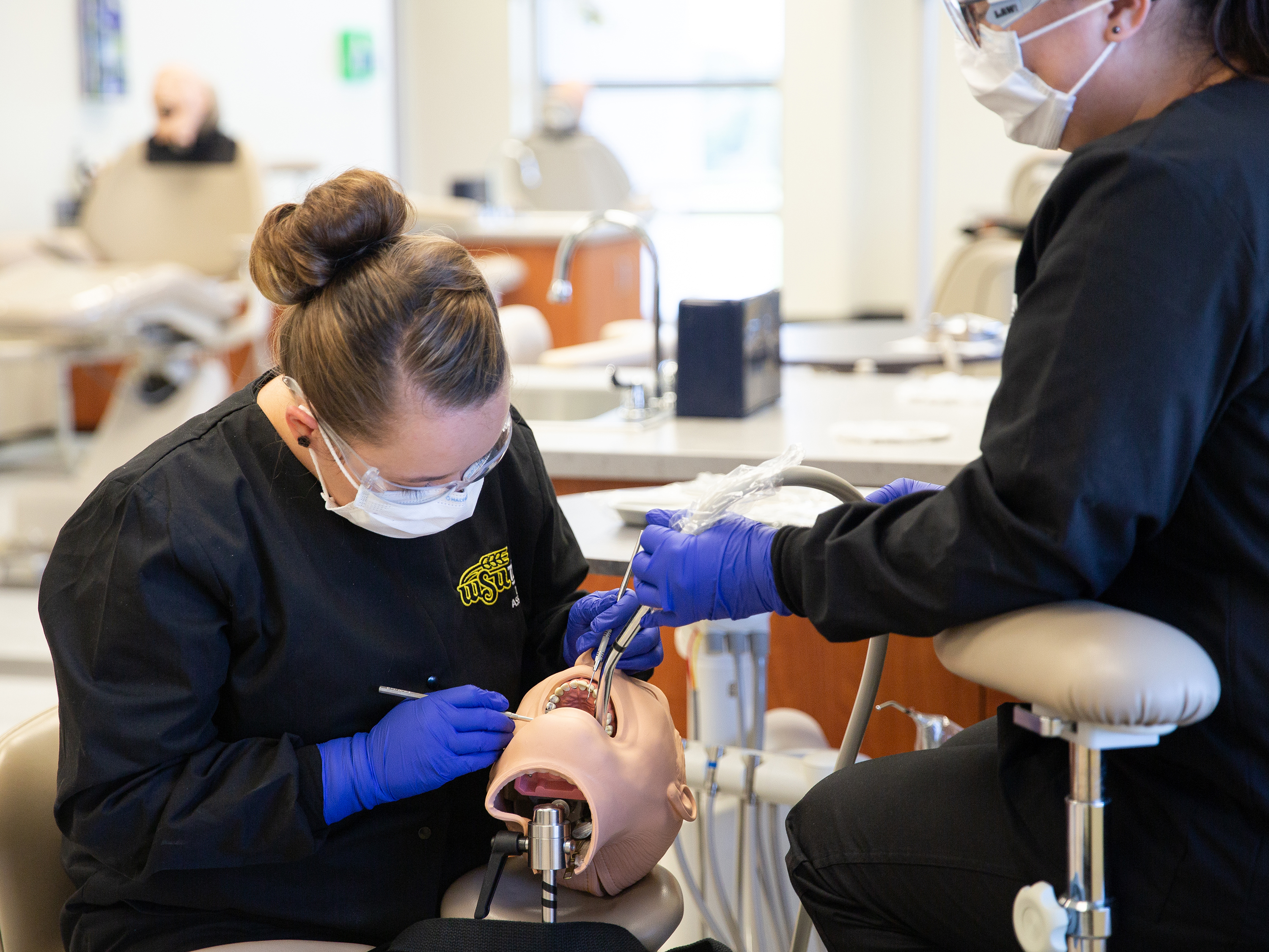 WSU Tech dental assistant students working on a mannequin