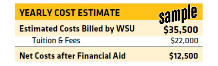 Image for yearly cost estimate sample - table format on yellow and light yellow background to show a sample of estimated costs and net costs