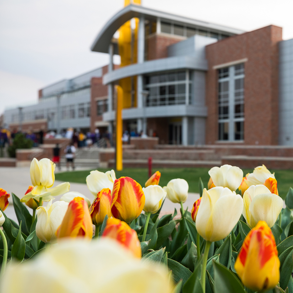 Tulips bloom in front of the Rhatigan Student Center's east entrance