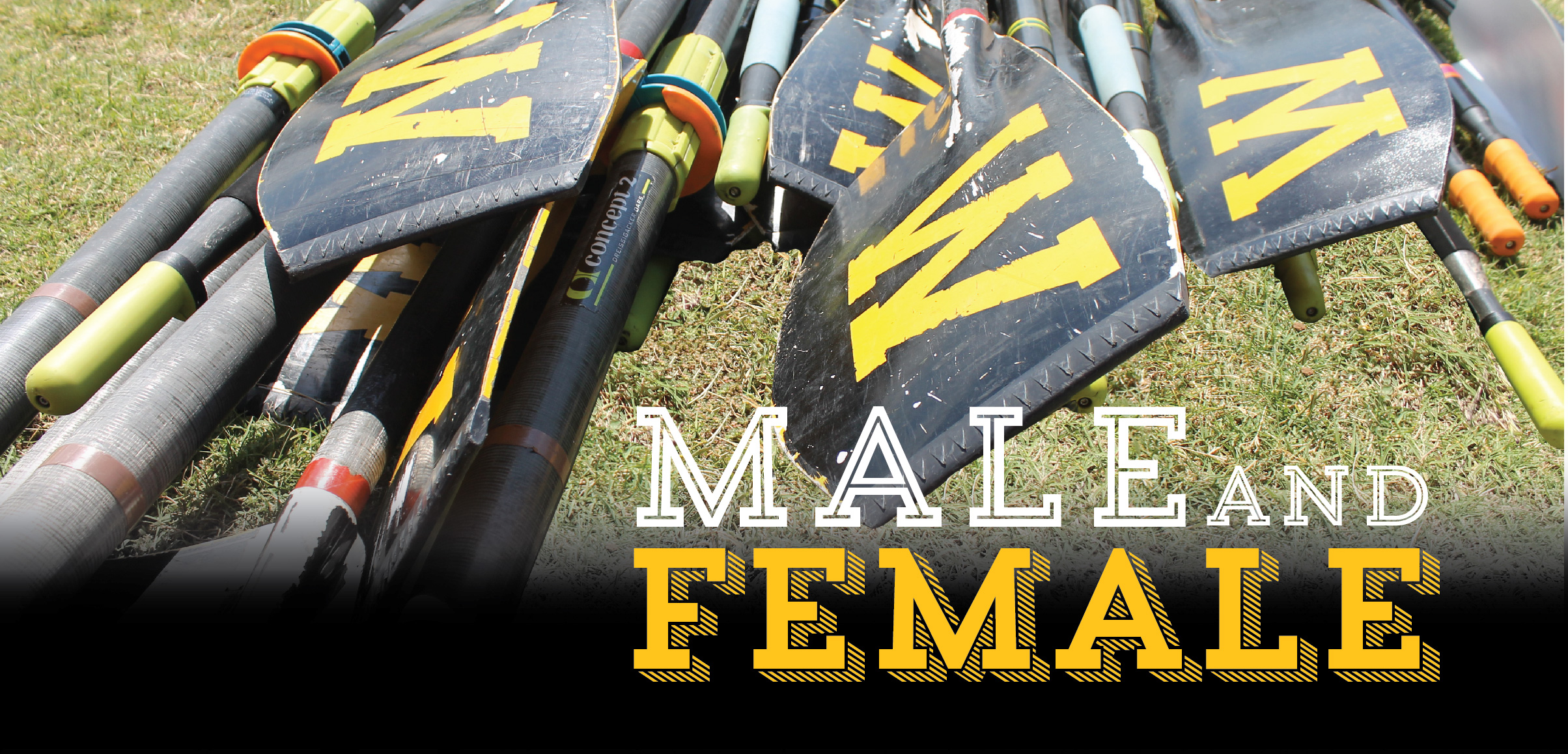 Oars with words "male and female:" in white and yellow text