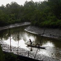Wide shot of an Asmat navigating a river in their boat