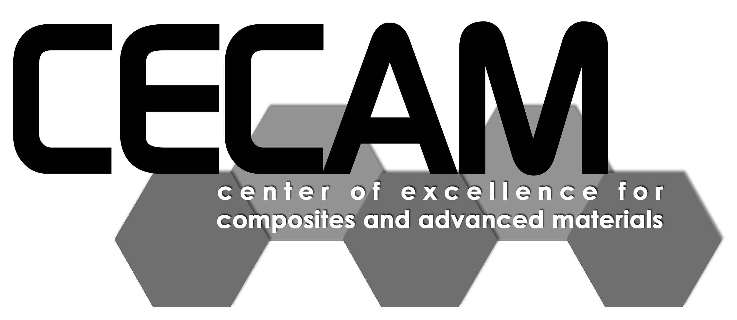 CECAM logo