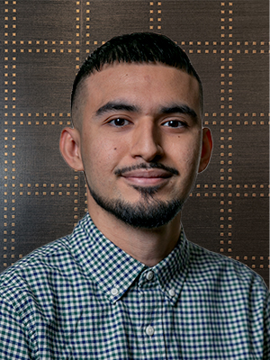 Irvin Caro, Project Lead II