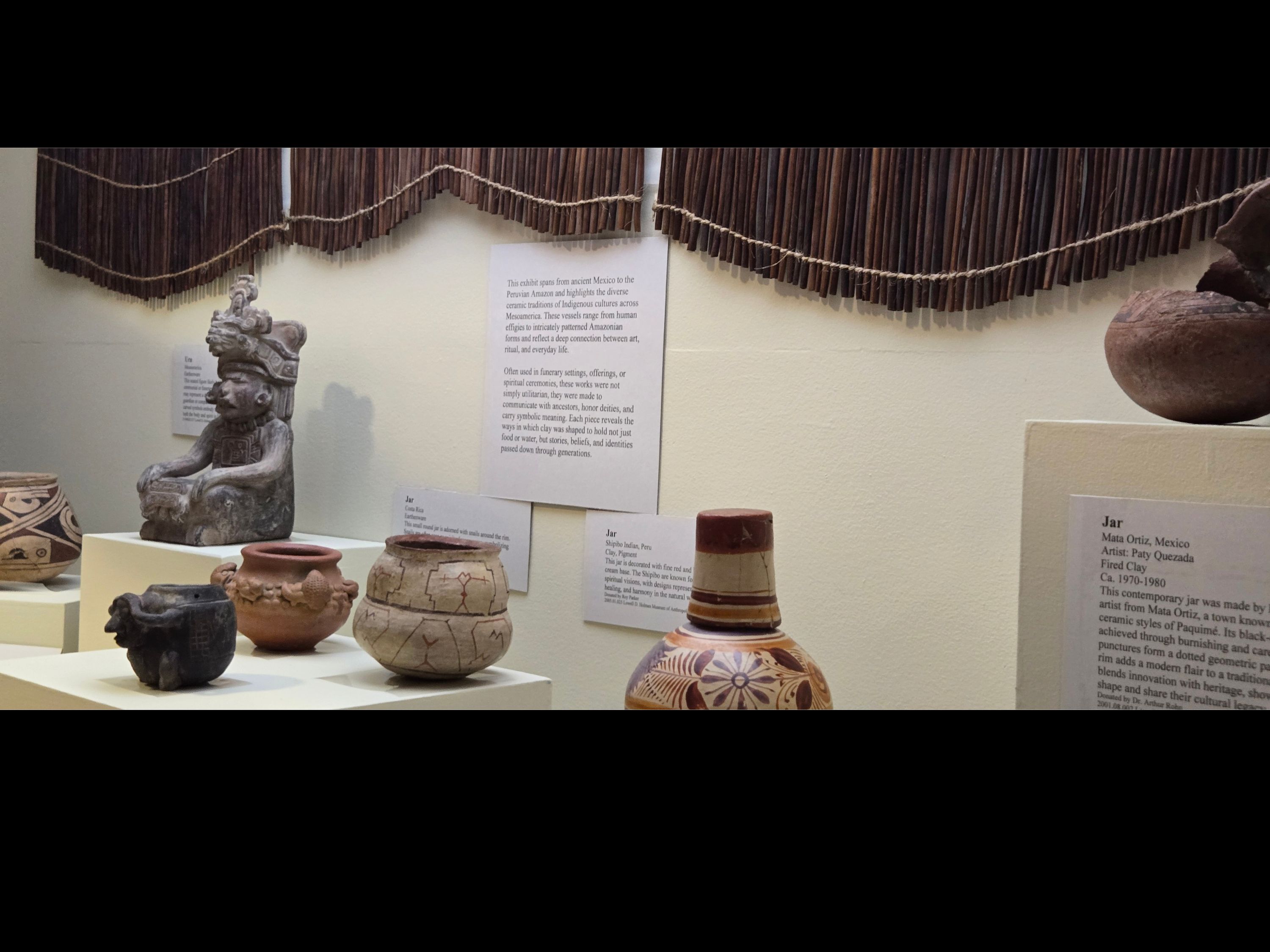 Case has a light green background with various on display.