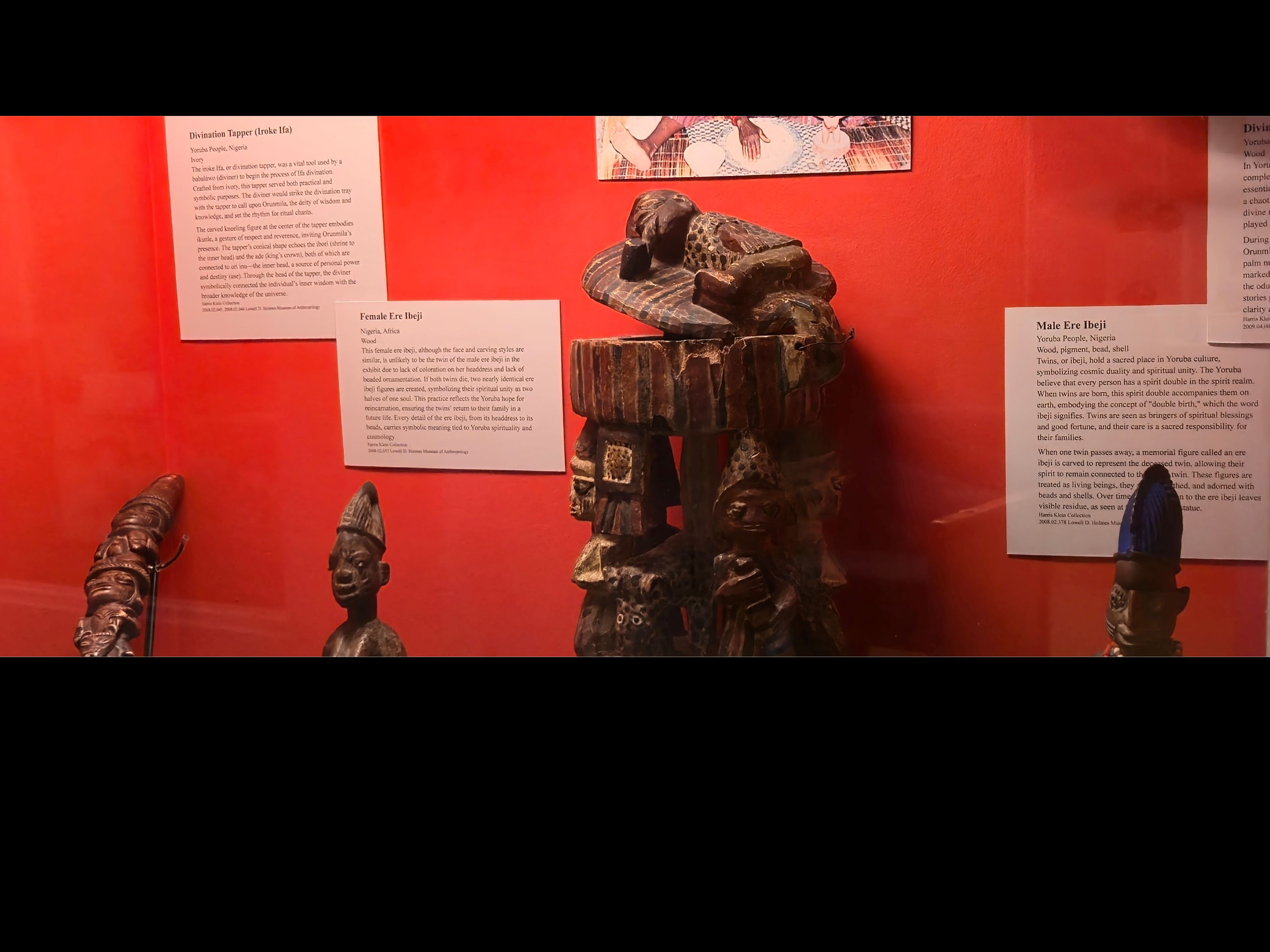 Case with bright orange background and black bottom with various objects on display