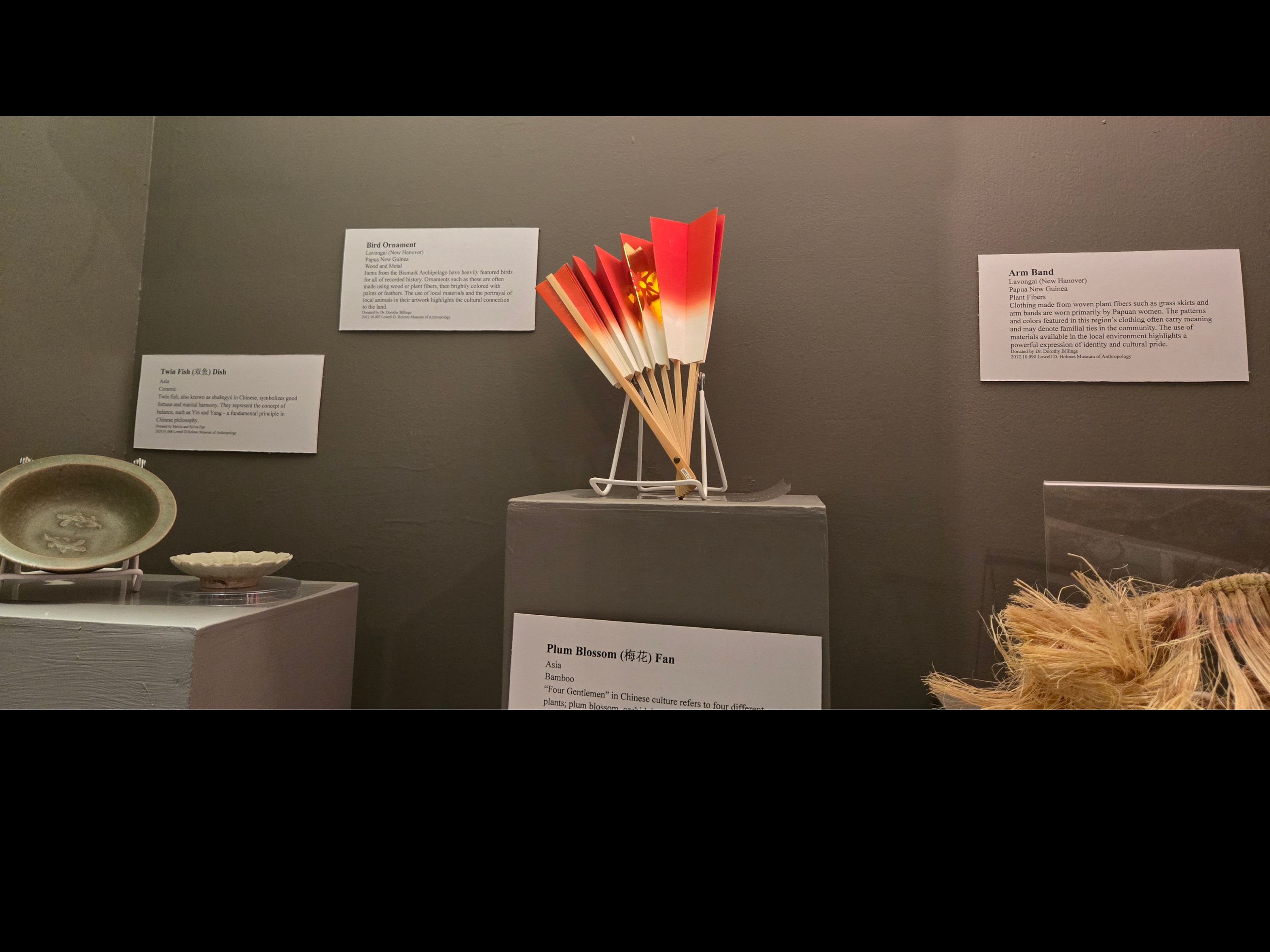 Dark grey case with various objects on display.