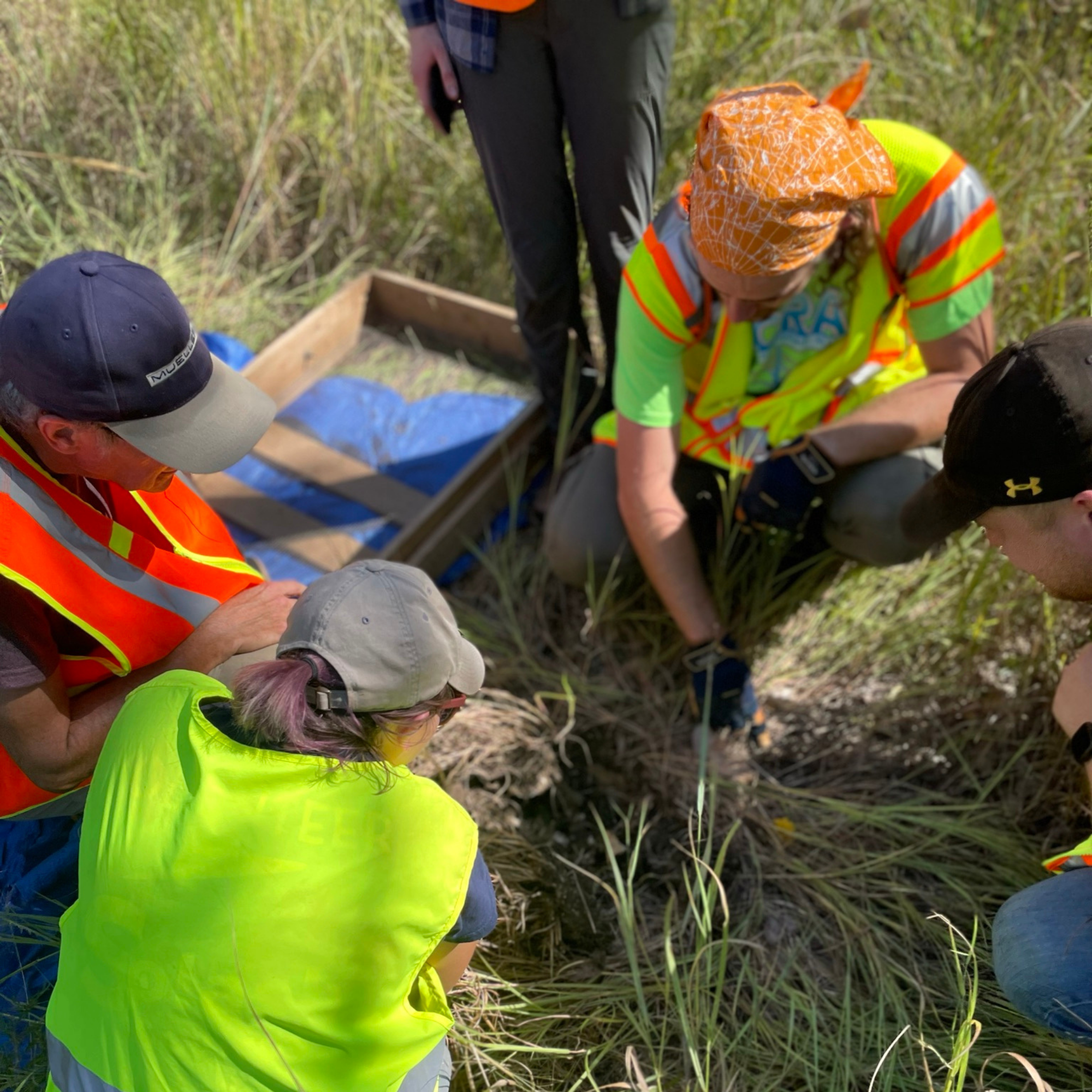 Students examine a turtle nest next to a shovel test pit
