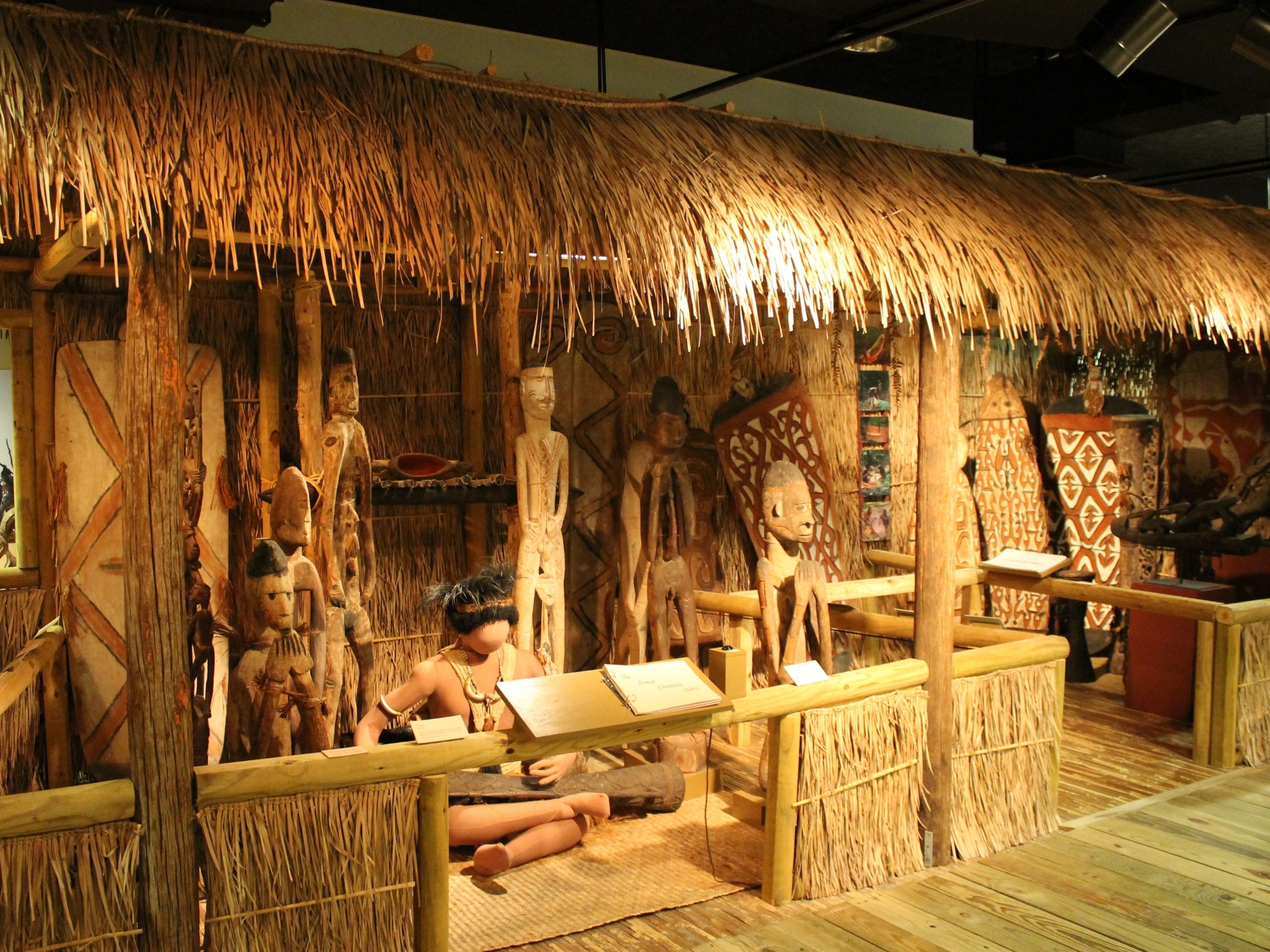  The exhibit is made to look like an Asmat village. Individual cases are modeled after Asmat houses, which are made of wood and have roofs made of woven, stacked leaves. 