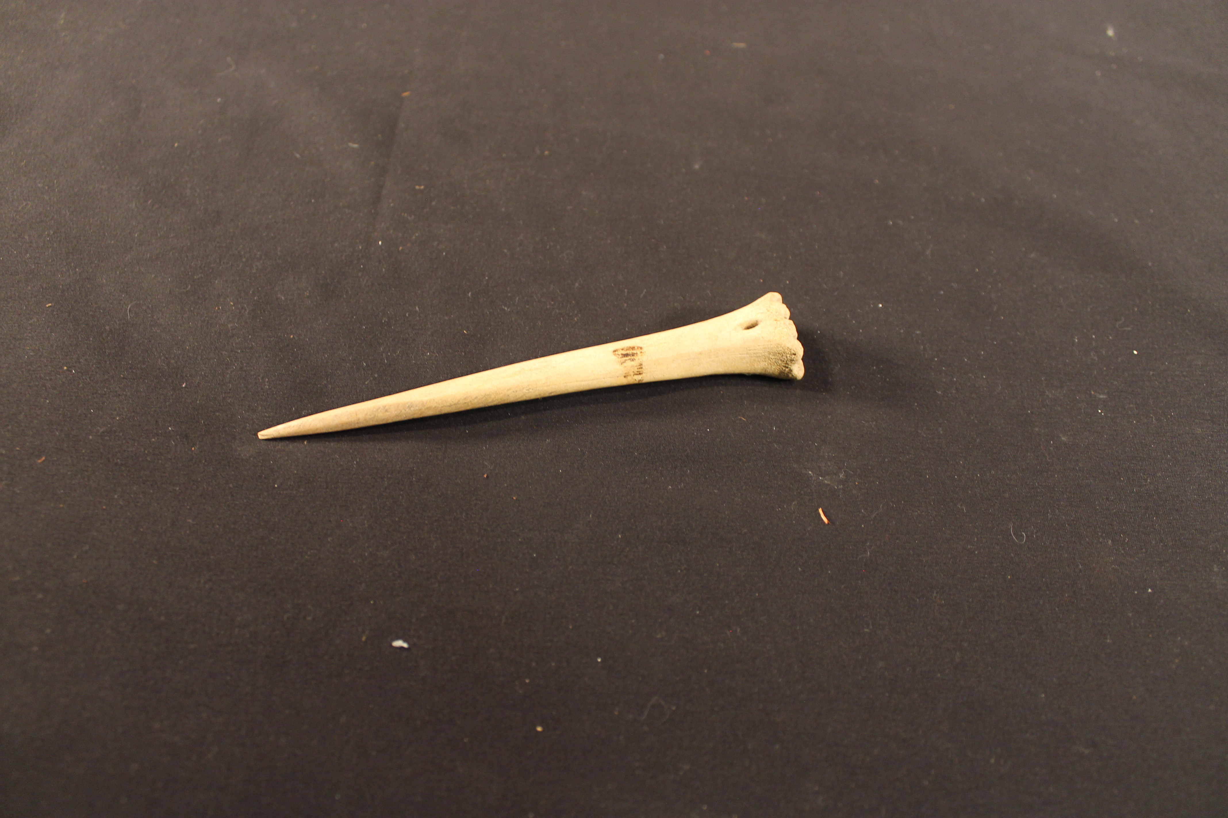 Bone shaped to a point on the end.
