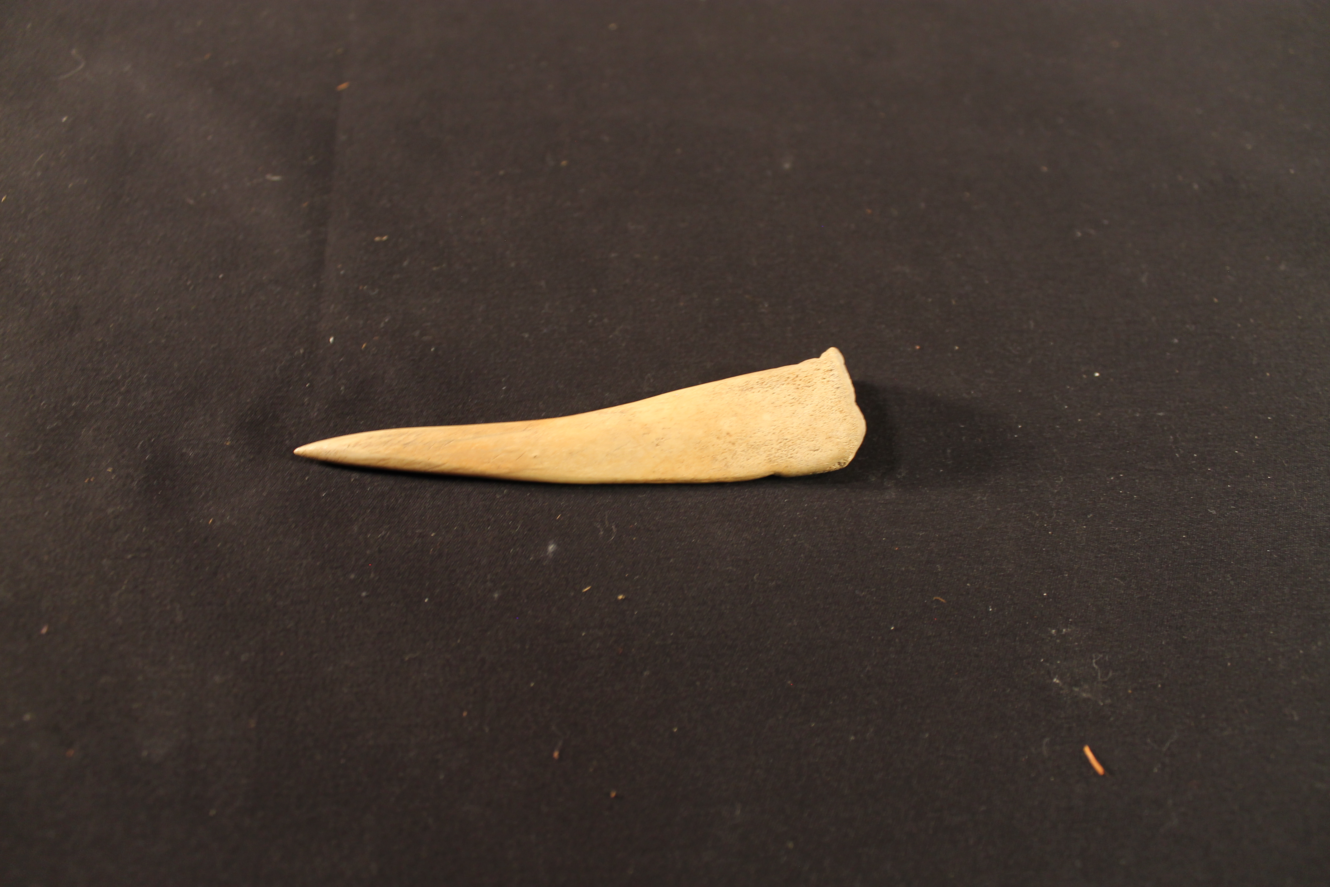 Bone shaped to a point on the end.