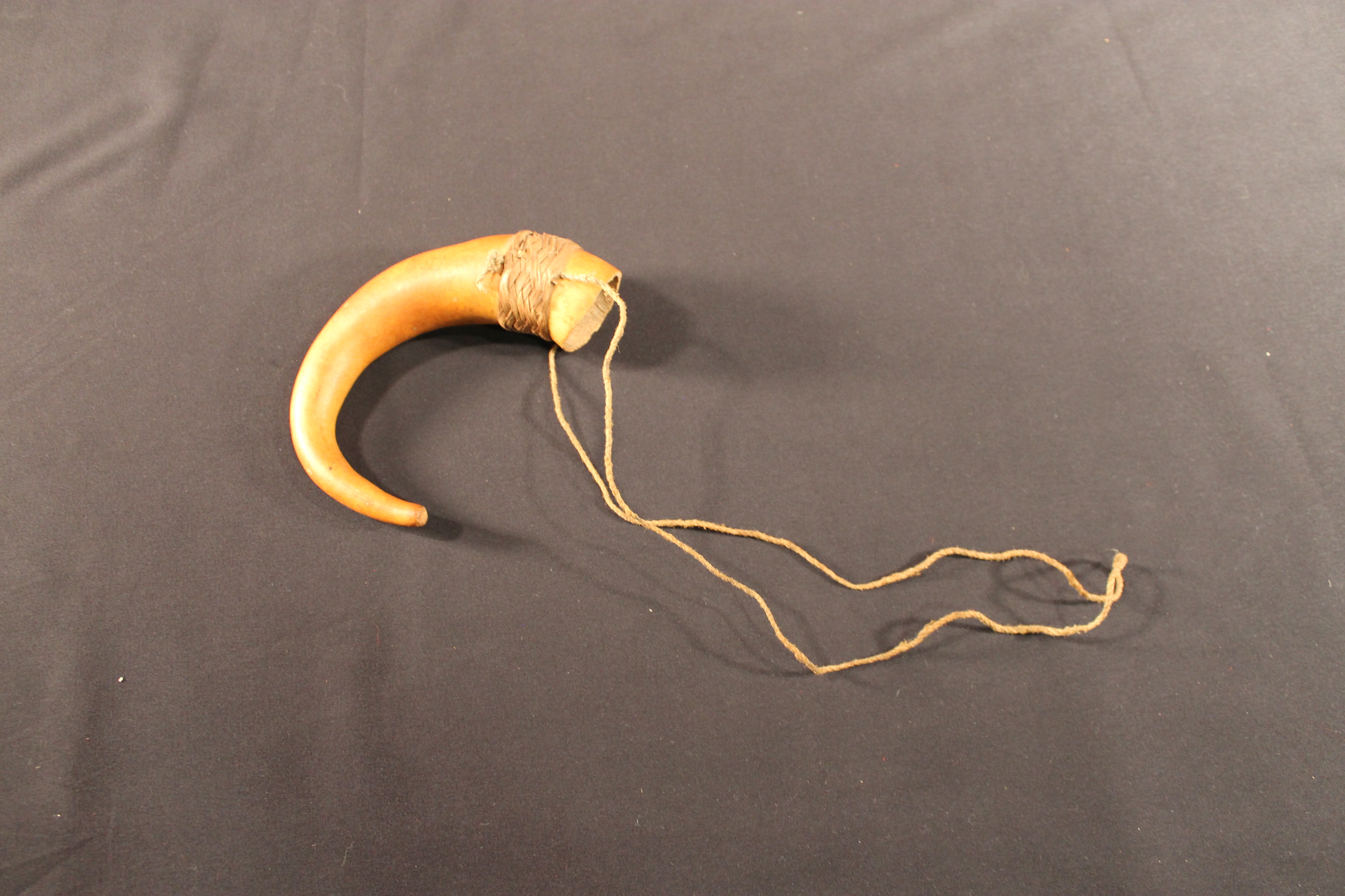 Curved gourd with attached strings.