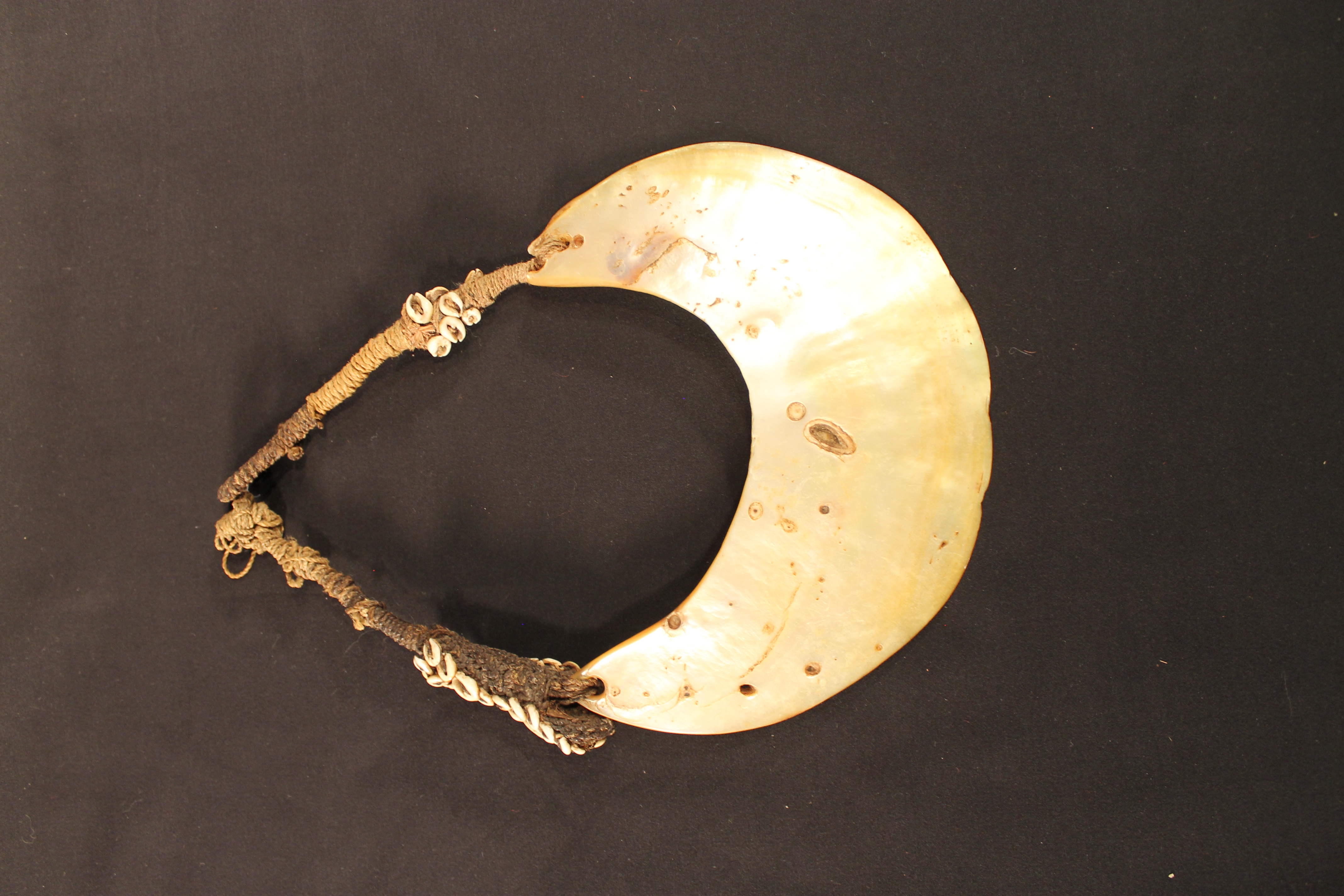 Large half-moon-shaped shell with attached woven bast string and vegetal fibers. 