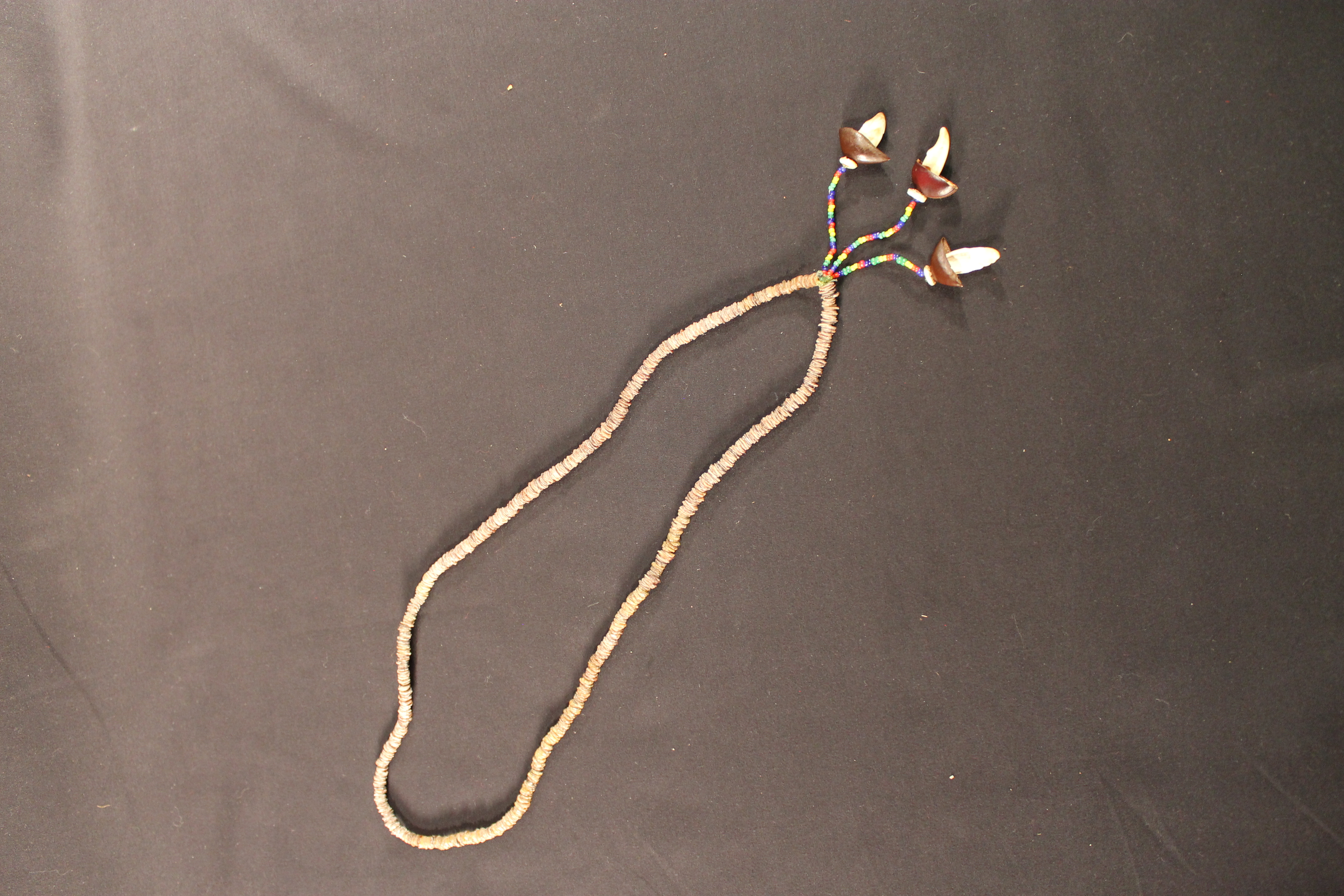 Shell necklace with three ornaments made of seed shells and teeth at the bottom. 