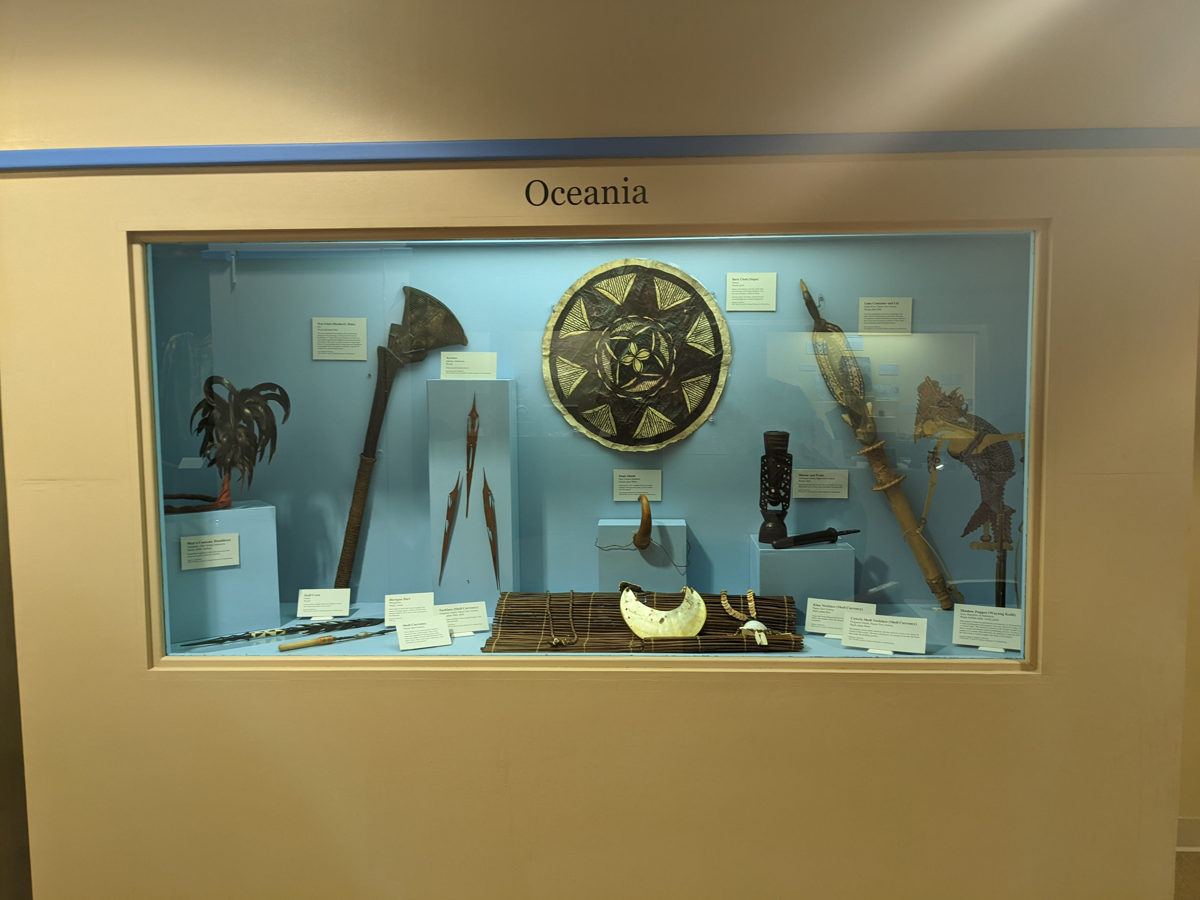Long case with blue background. On display are a headdress, ax, darts, shell necklaces, penis shield, barkcloth, mortar and pestle, lime container, and puppet.