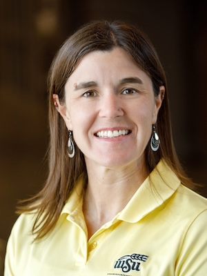 Dr. Christin Manning Ph.D., Assistant Teaching Professor