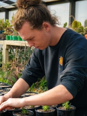 Michael Monarda, Graduate Student