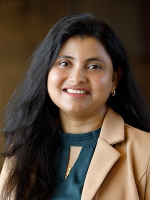 Souvika Sarkar, Assistant Professor