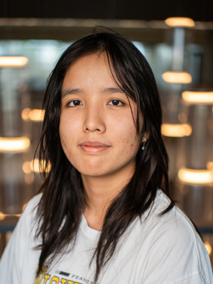 Thanh Truc Nguyen, Accounting