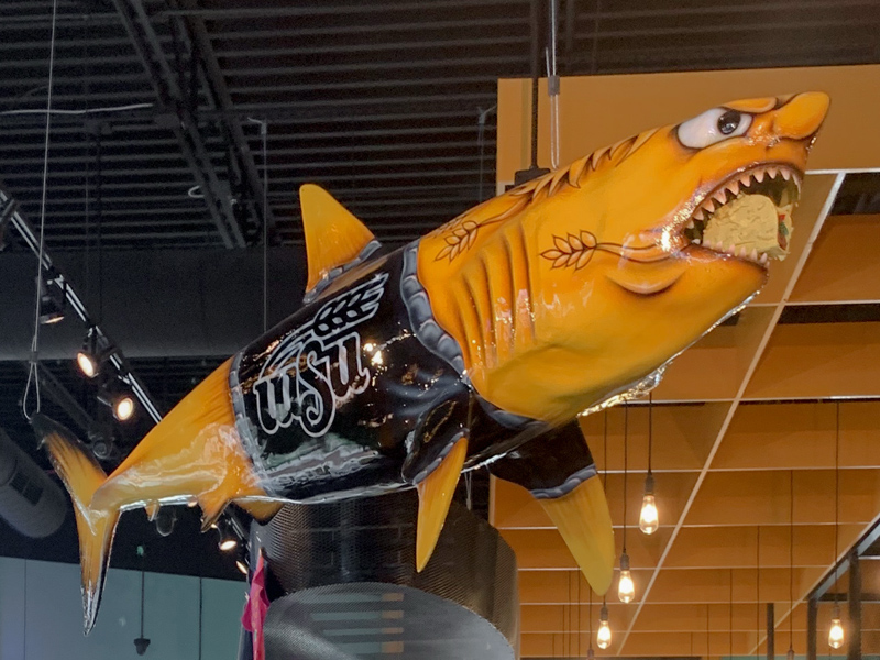 metal shark metal shark