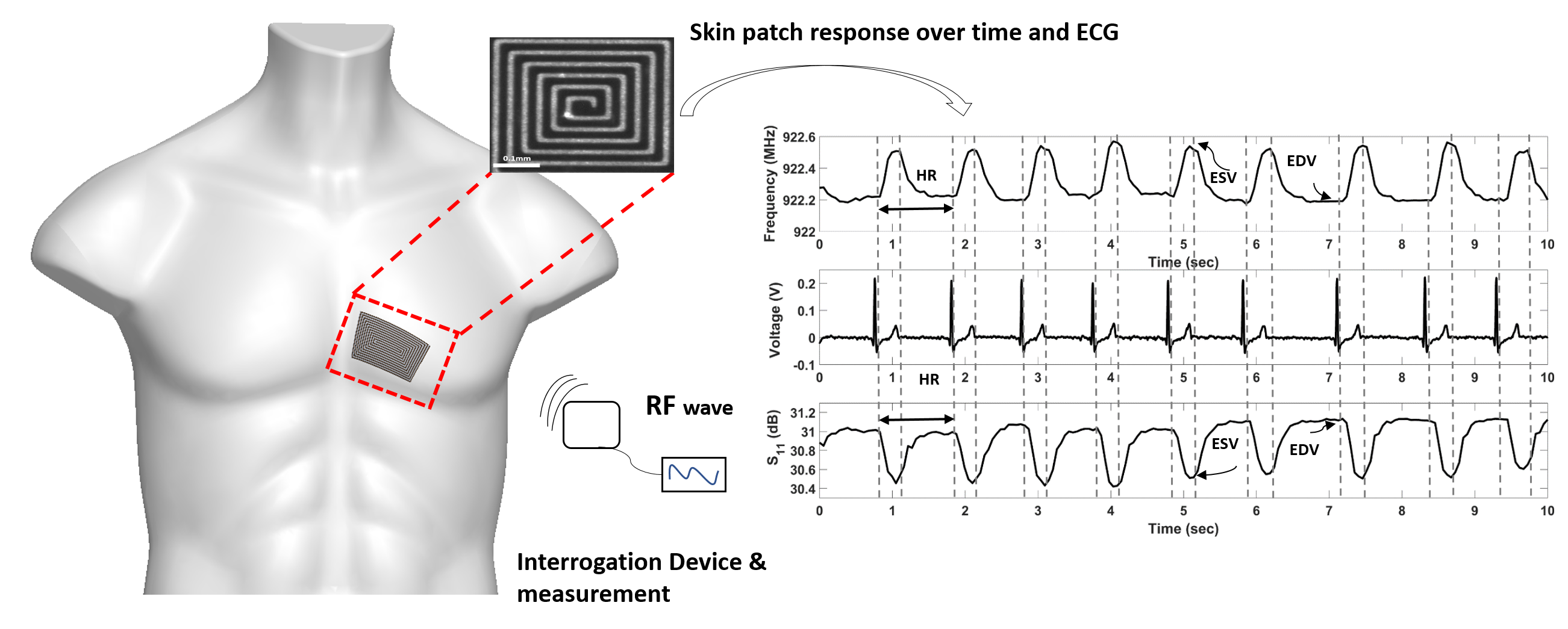 heart patch sensor