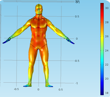 Graph depicing heat transfer in the human body. 