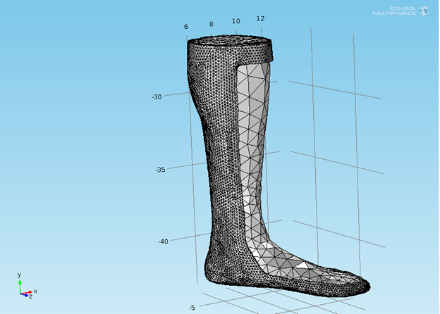 3D model of a foot and lower leg under the knee. 