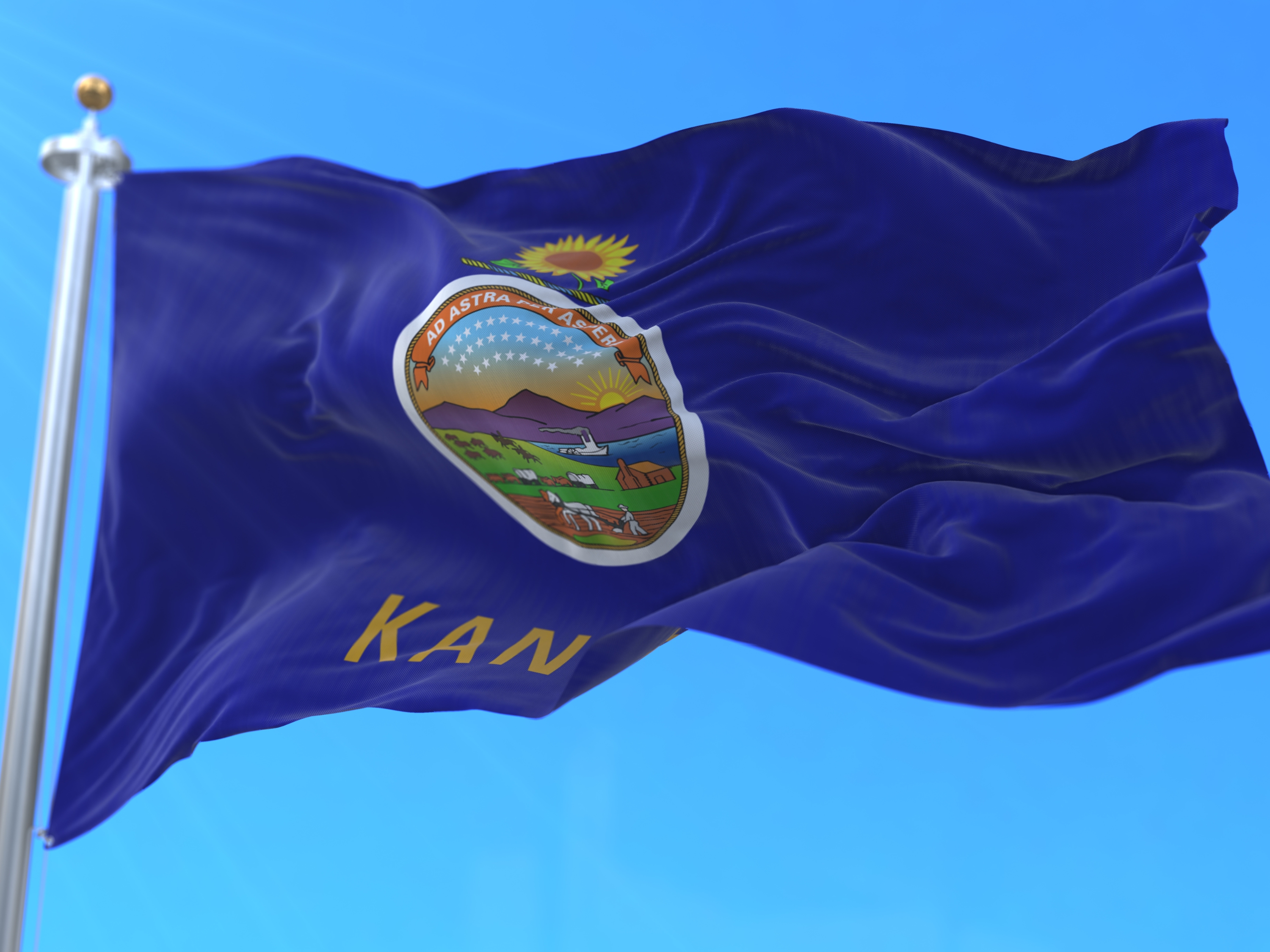 Kansas State Flag