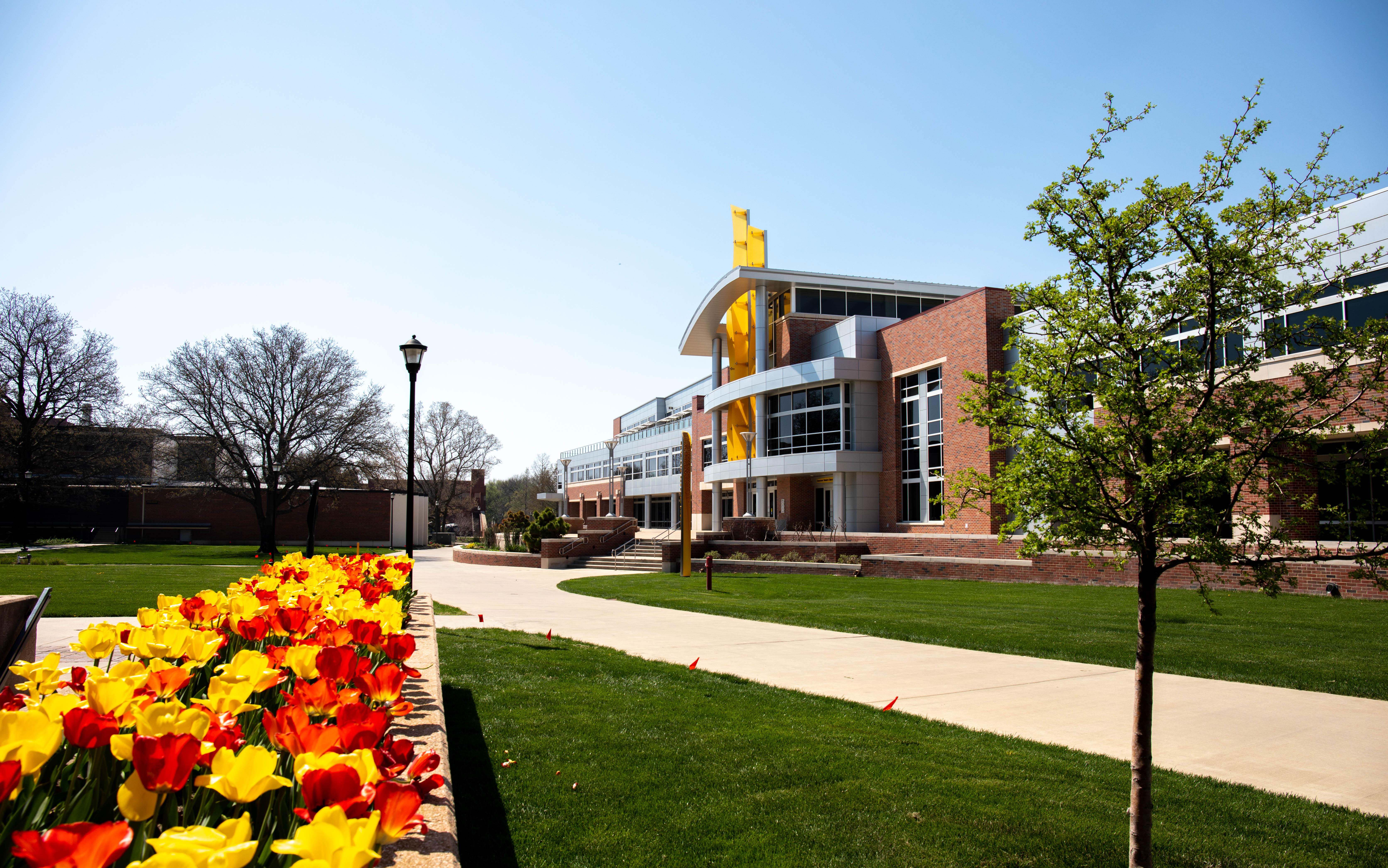 View of tulips and east side of the Rhatigan Student Center during the day.