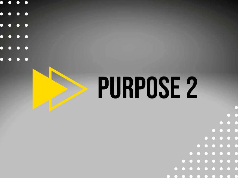 Purpose 2
