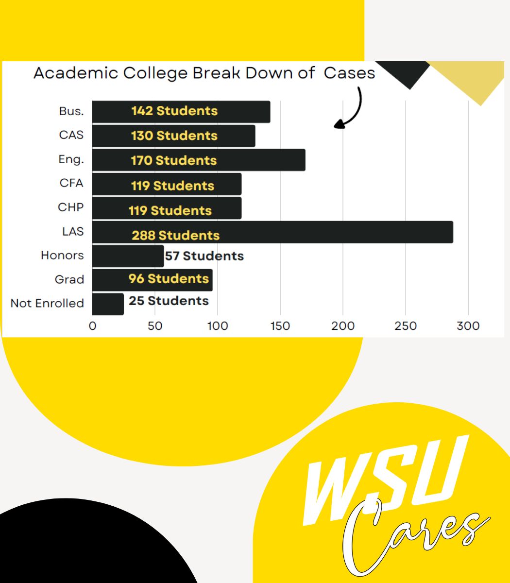Academic College Break Down of Cases Graph