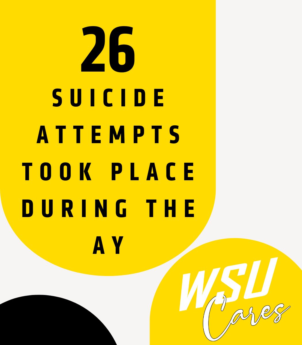 26 suicide attempts took place during the AY