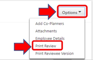 my performance page with the options drop down menu with Print Review being selected