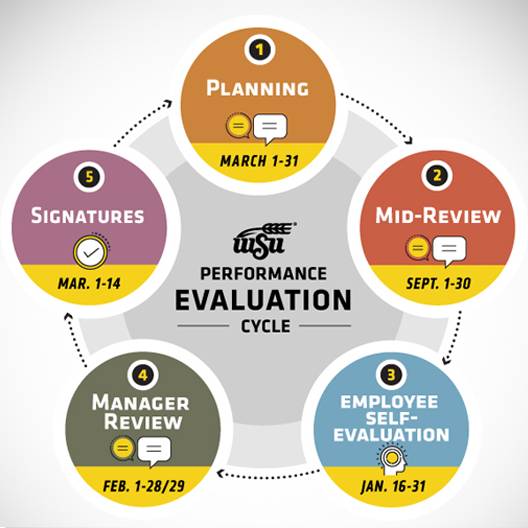 Annual Performance Review Process