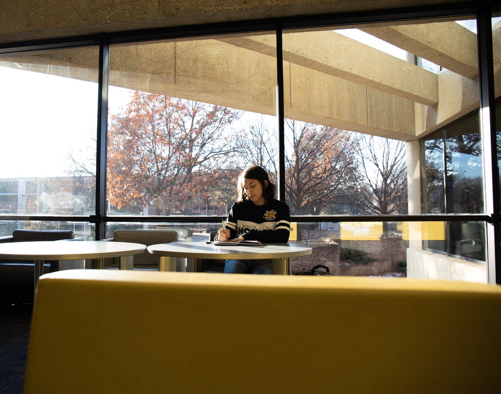 Student studying in an open area in Ablah Library