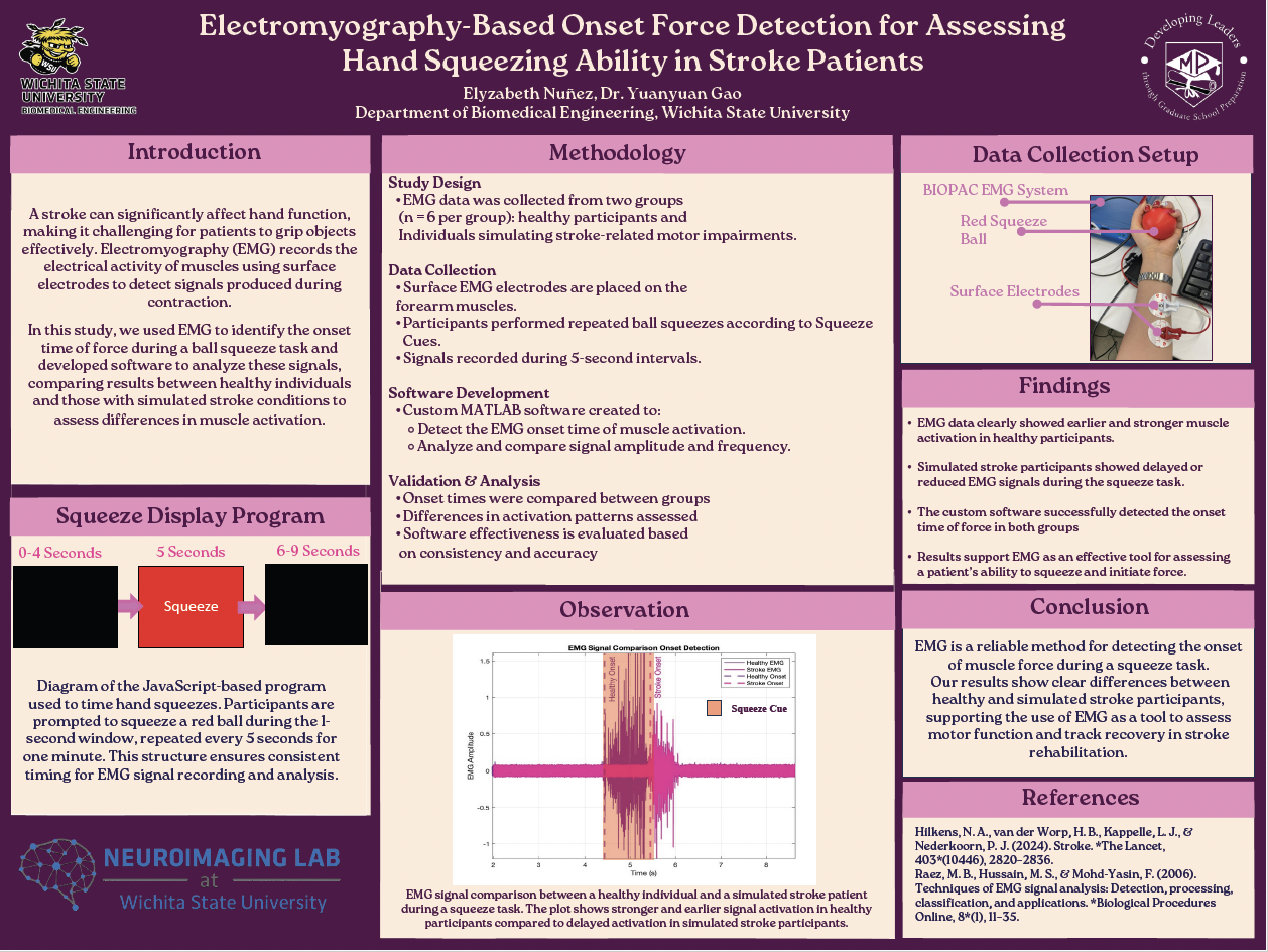 Undergraduate Research Poster 8