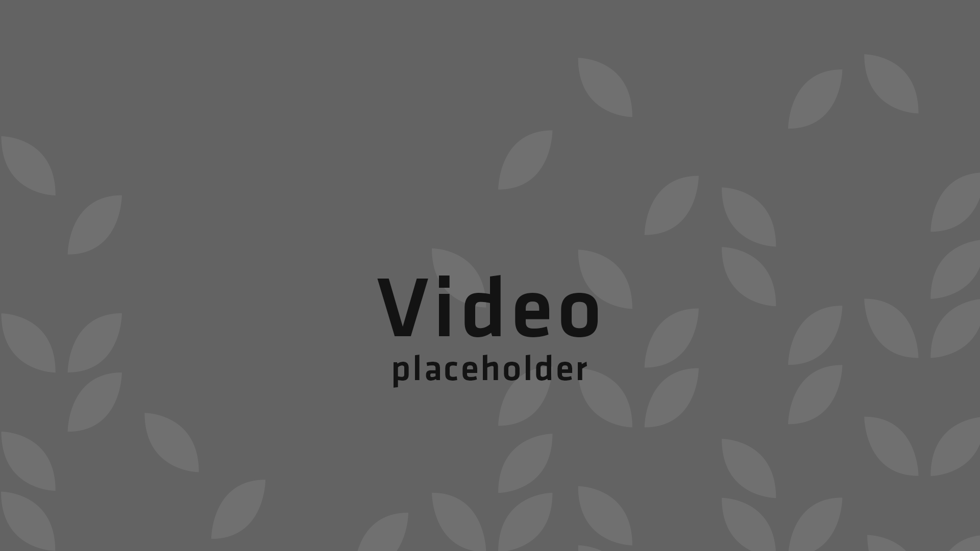 video placeholder