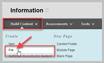 Blackboard Course Information page with "Build Content" and "File" highlighted