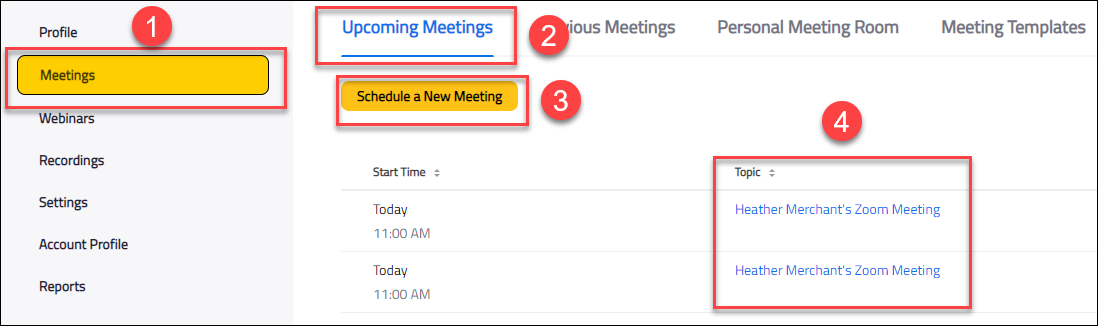 meetings, schedule a new meeting